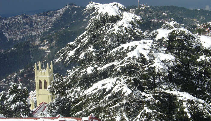 Shimla