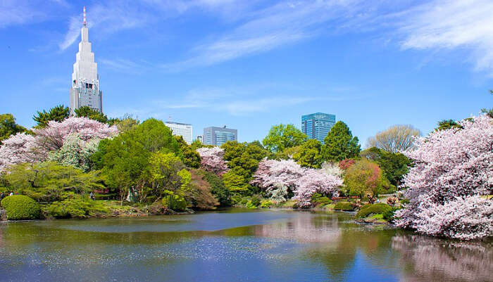 Shinjuku Gyoen National Garden