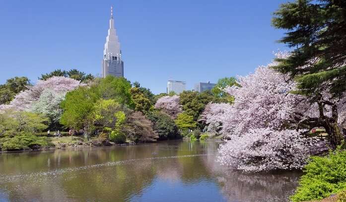 Shinjuku-Gyoen-National-Garden2