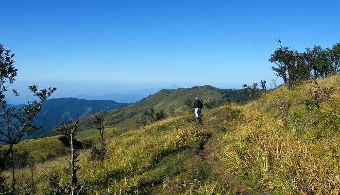 Singalila National Park