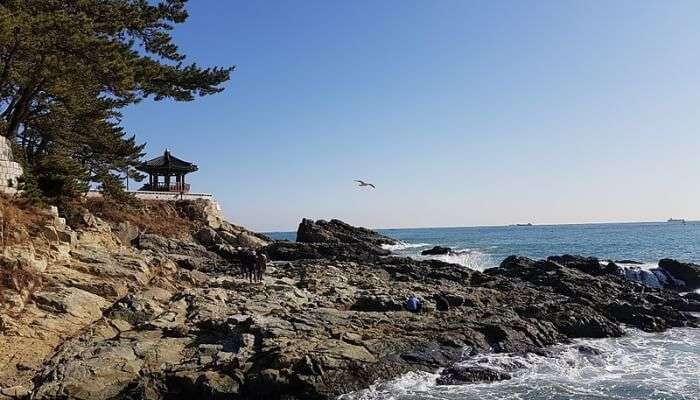 Songdo Beach In Busan