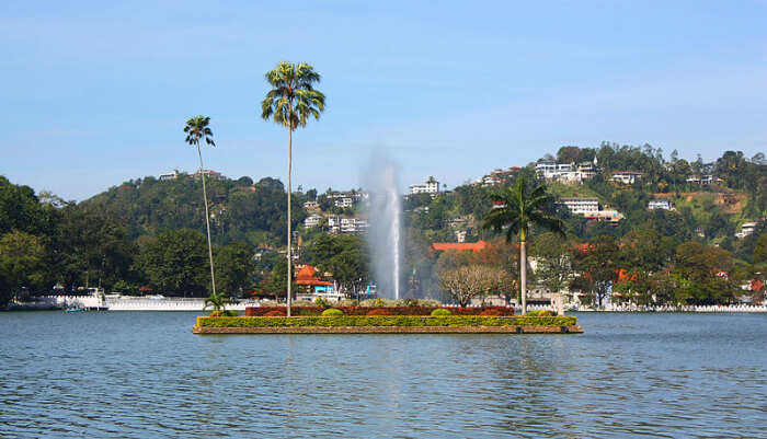 Stroll Along The Lake