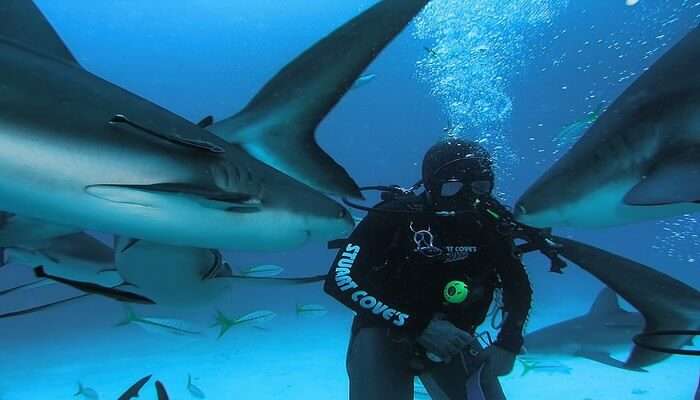 Stuart_Coves_Dive_Bahamas_