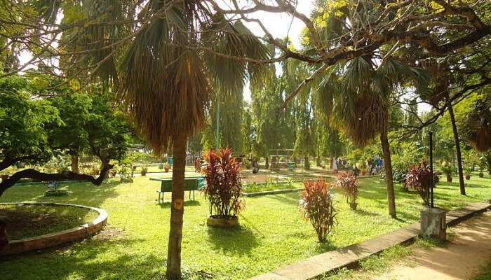 Subhash Bose Park View