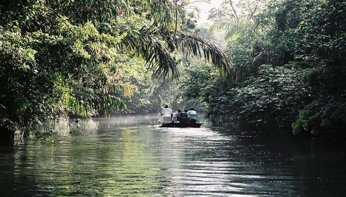 Tortuguero_National_Park_