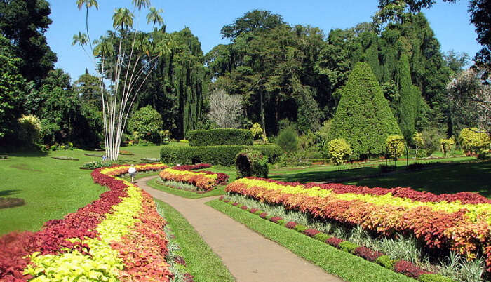 Tour The Botanical Gardens