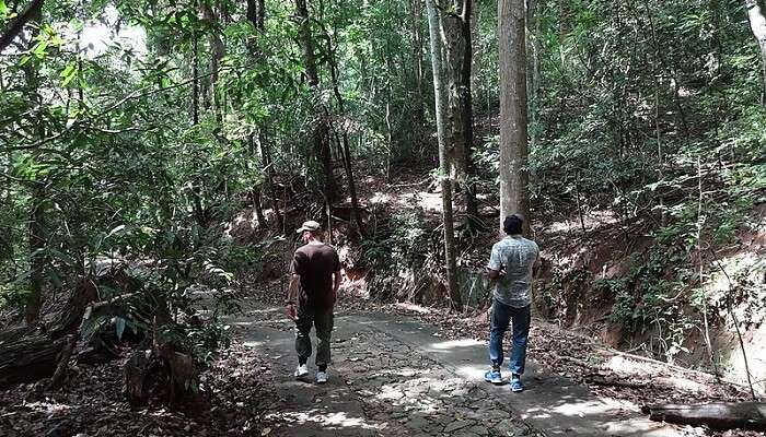 Udawatta Kele Sanctuary in Sri Lanka