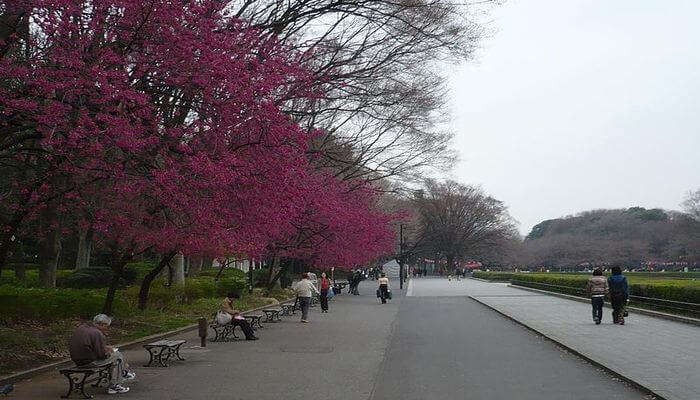 Ueno_Park_