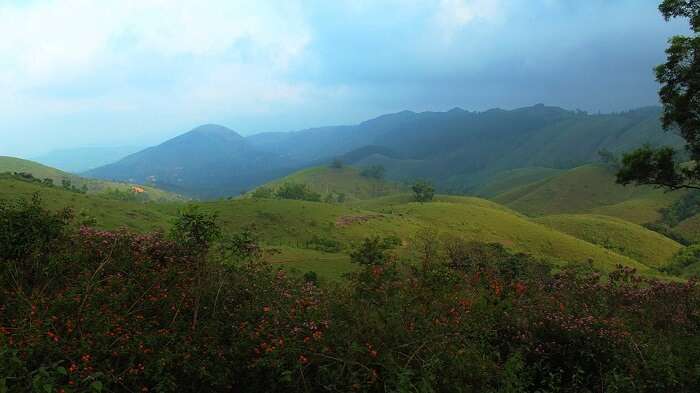 Vagamon a top place to visit Kerala in November.