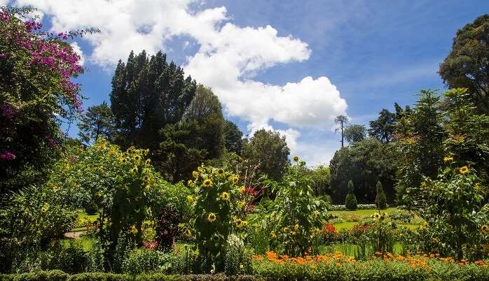 Victoria park, Nuwara Eliya