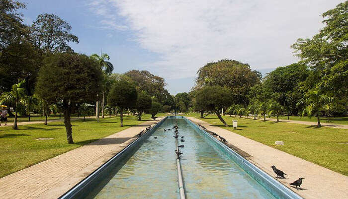 Viharamahadevi Park