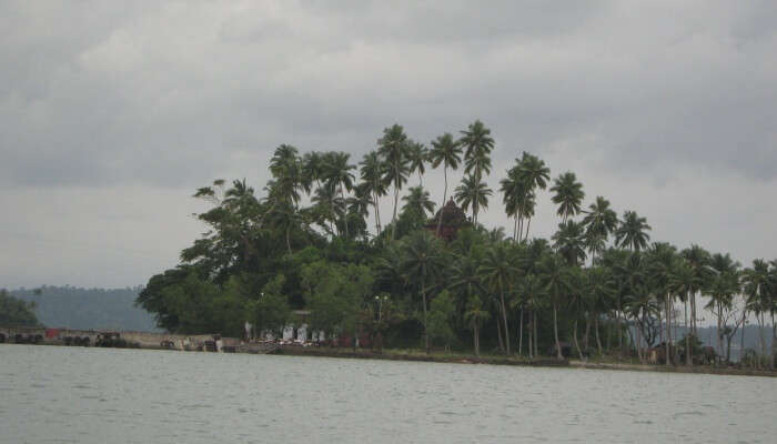 island with palm trees