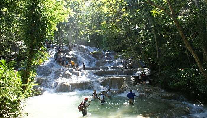 people bathing in the waterfall