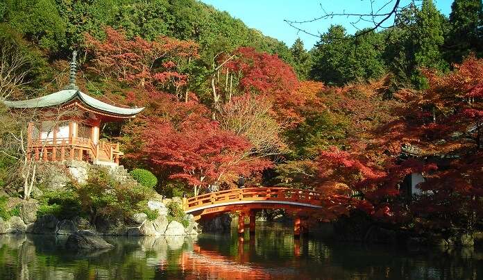 Weather In Kyoto In November