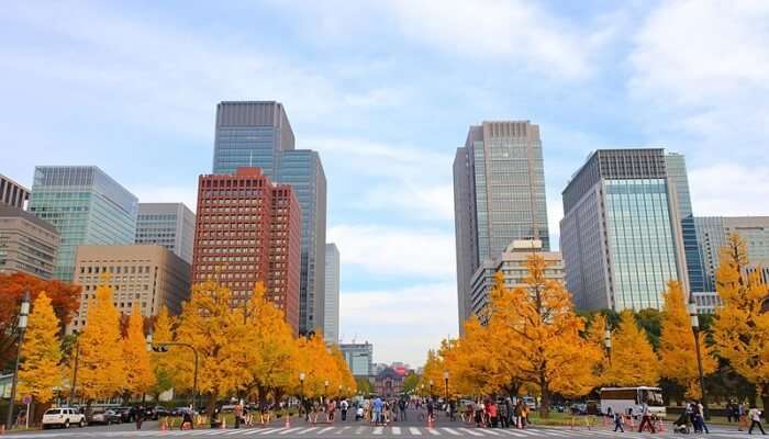 places to visit in tokyo in october