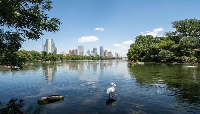 Why should you visit Austin in August?