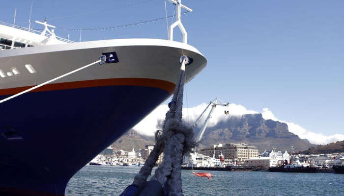 Awesome Cruises In Cape Town