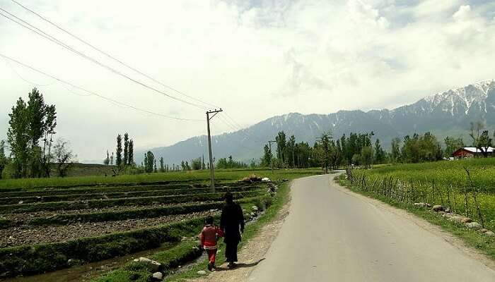 road in pahalgam