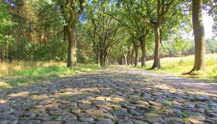 rome cobblestone road garden