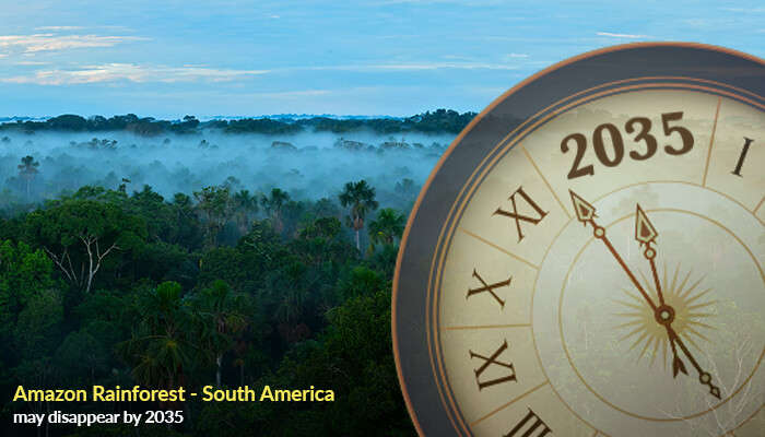 Amazon Rainforest - South America