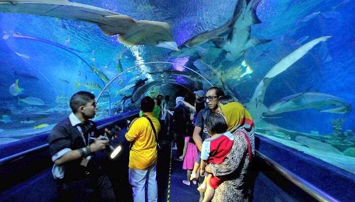 Aquaria KLCC