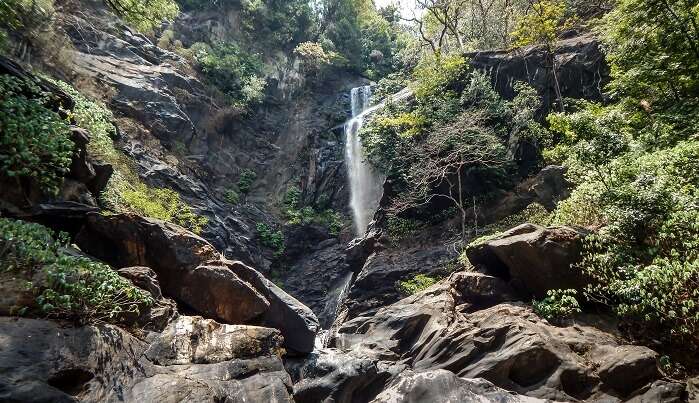 Witness the beauty of St. Clair Falls, one of the popular places to visit in Nuwara Eliya.