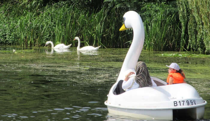 Boat Riding