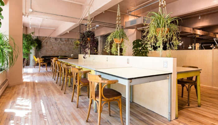 top-10-cafes-in-montreal-for-a-classy-dining-experience