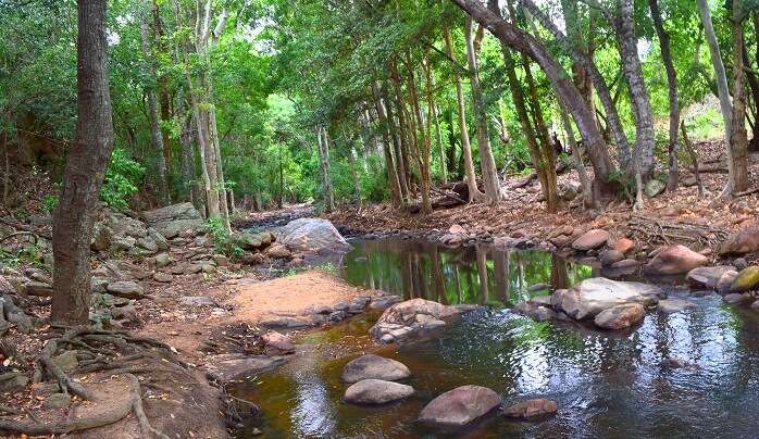 Chinnar Wildlife Sanctuary