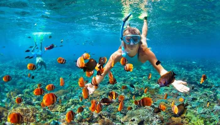 Adventurous Snorkelling In Andaman