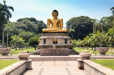 Buddha statue in a park in maharagama