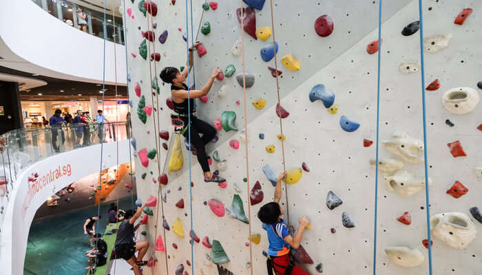 Rock Climbing In Singapore