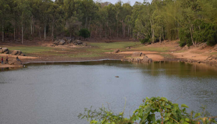 Devarayanadurga State Forest