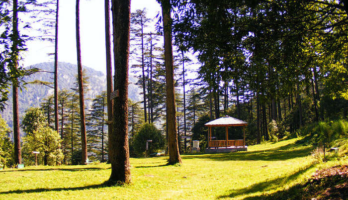 _Dhanaulti