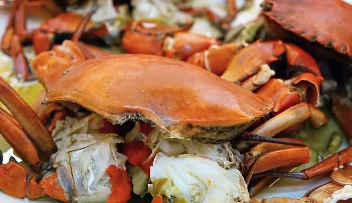 Dungeness Crab