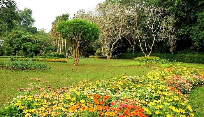 Henarathgoda_Botanical_Garden