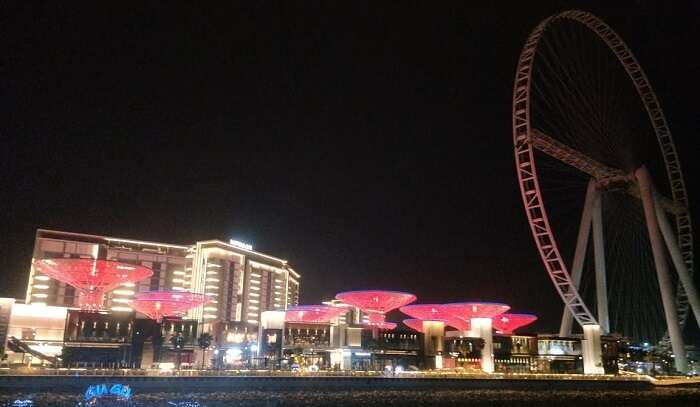  fascinated by the night view