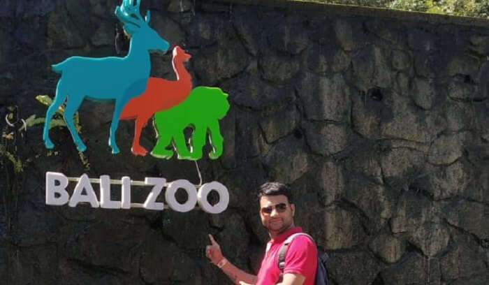 bali zoo with family