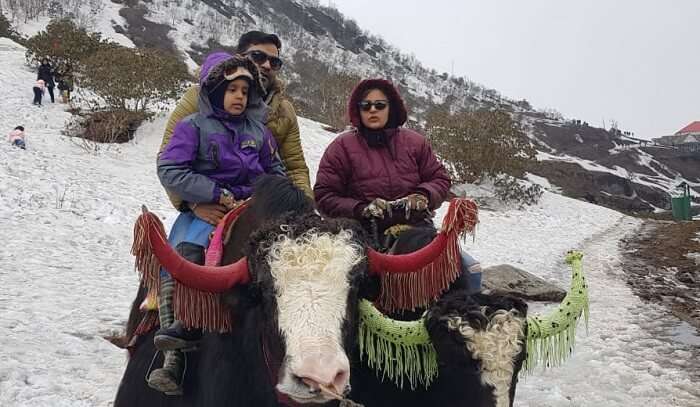 had done the yak ride