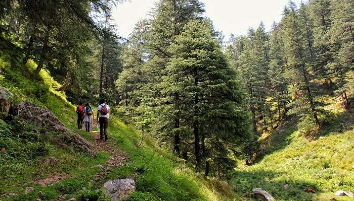 trek to the top of the mountain