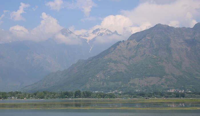 Superb Sightseeing of srinagar