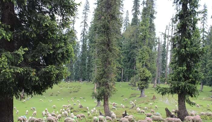 unexplored place in Kashmir