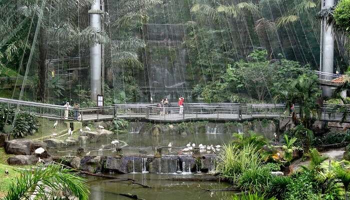 Kuala Lumpur Bird Park