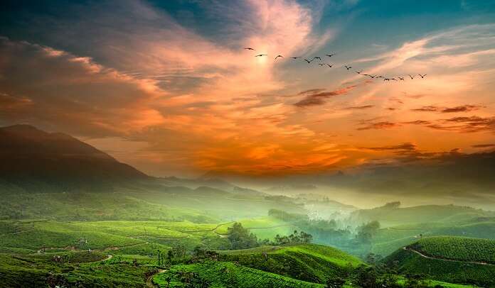 Munnar