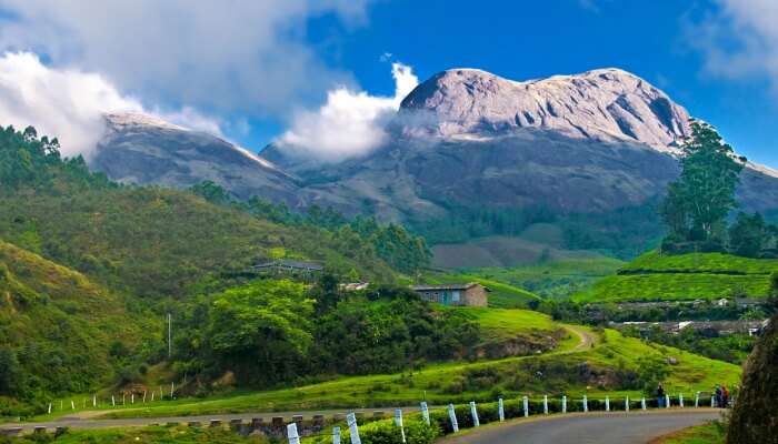 greenery and mountains