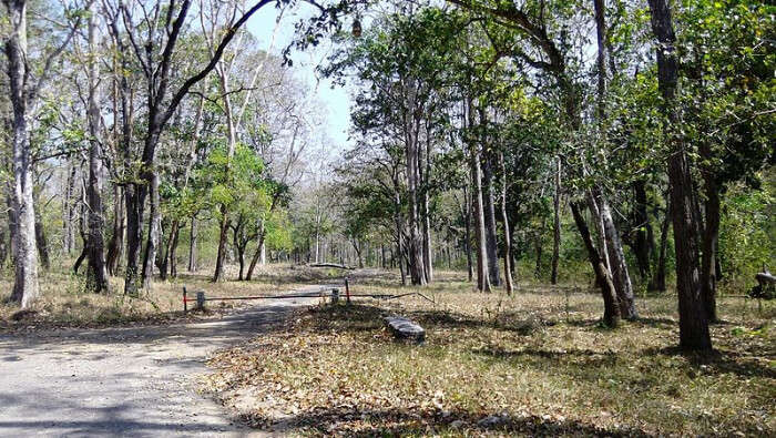 Parambikulam Wildlife Sanctuary