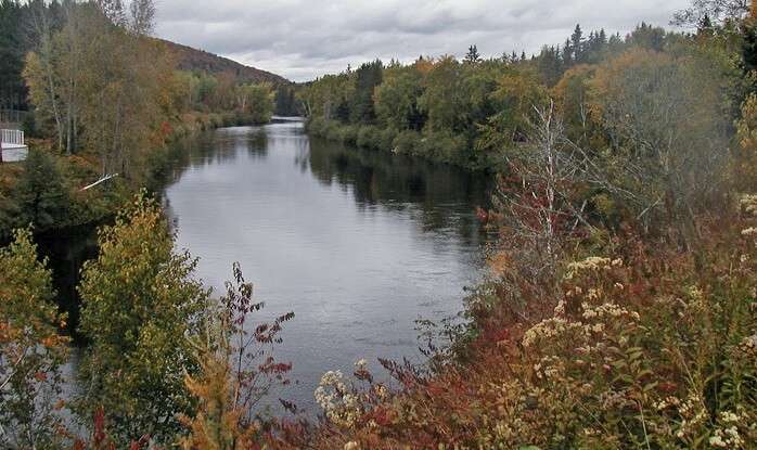 Rouge river