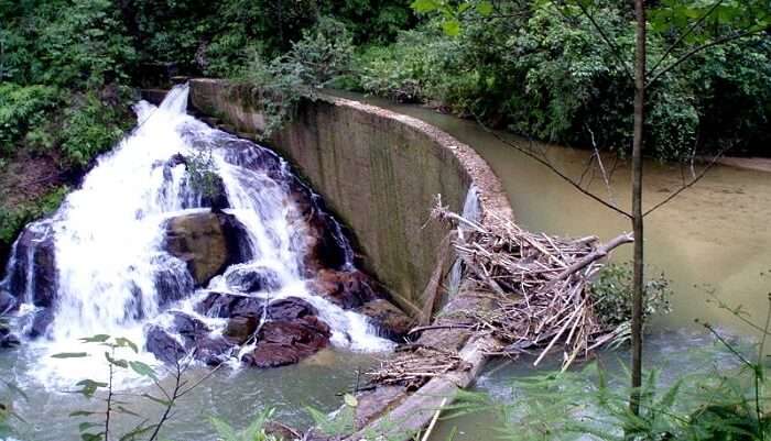 Simpang_Pulai_Waterfall