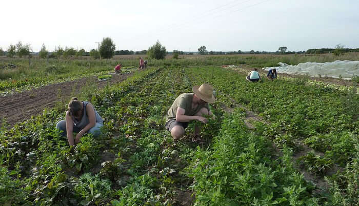 Stay At An Organic Farm