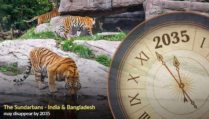The Sundarbans - India & Bangladesh